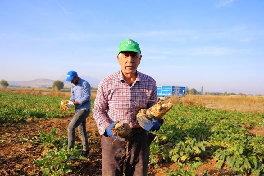 Nisan ayında ektiler, dönüm başına 10 ton verim aldılar! Kahramanmaraş’ta üreticinin yüzü gülüyor
