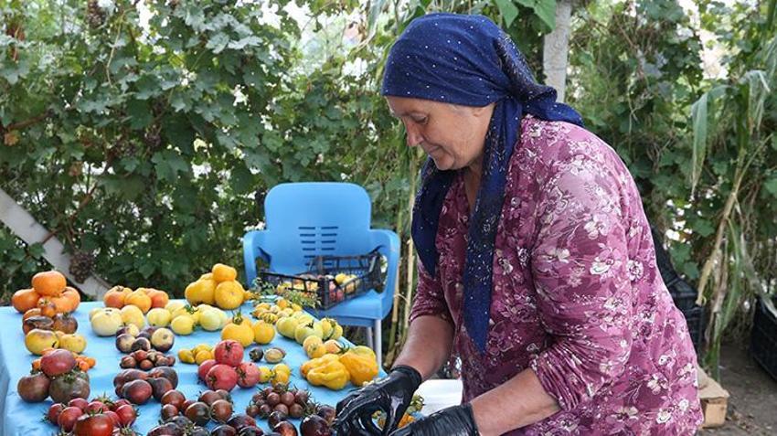 Şehir şehir topladı: 1 milyon paketi Türkiye’ye ücretsiz dağıttı! İçinde 55 farklı çeşit var, kapış kapış gidiyor