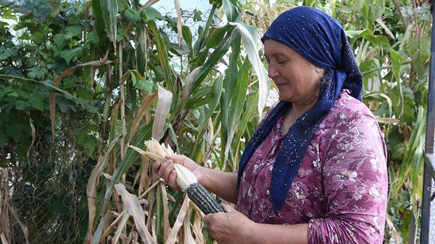 Şehir şehir topladı: 1 milyon paketi Türkiye’ye ücretsiz dağıttı! İçinde 55 farklı çeşit var, kapış kapış gidiyor