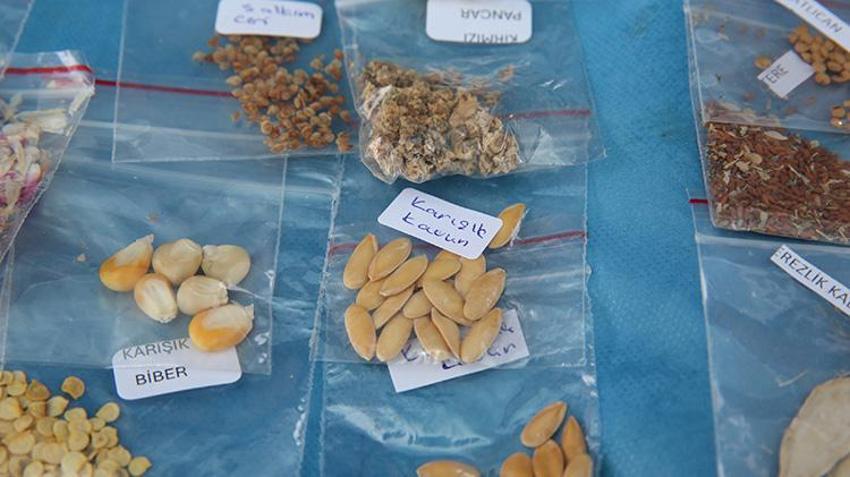 Şehir şehir topladı: 1 milyon paketi Türkiye’ye ücretsiz dağıttı! İçinde 55 farklı çeşit var, kapış kapış gidiyor