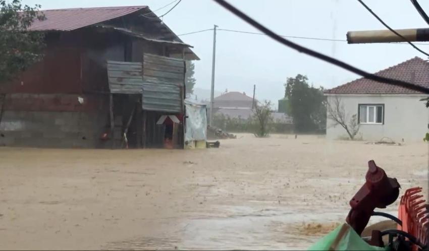 Sakarya'da yükselen sel suları kümesleri doldurdu: 60 bin hayvan telef oldu
