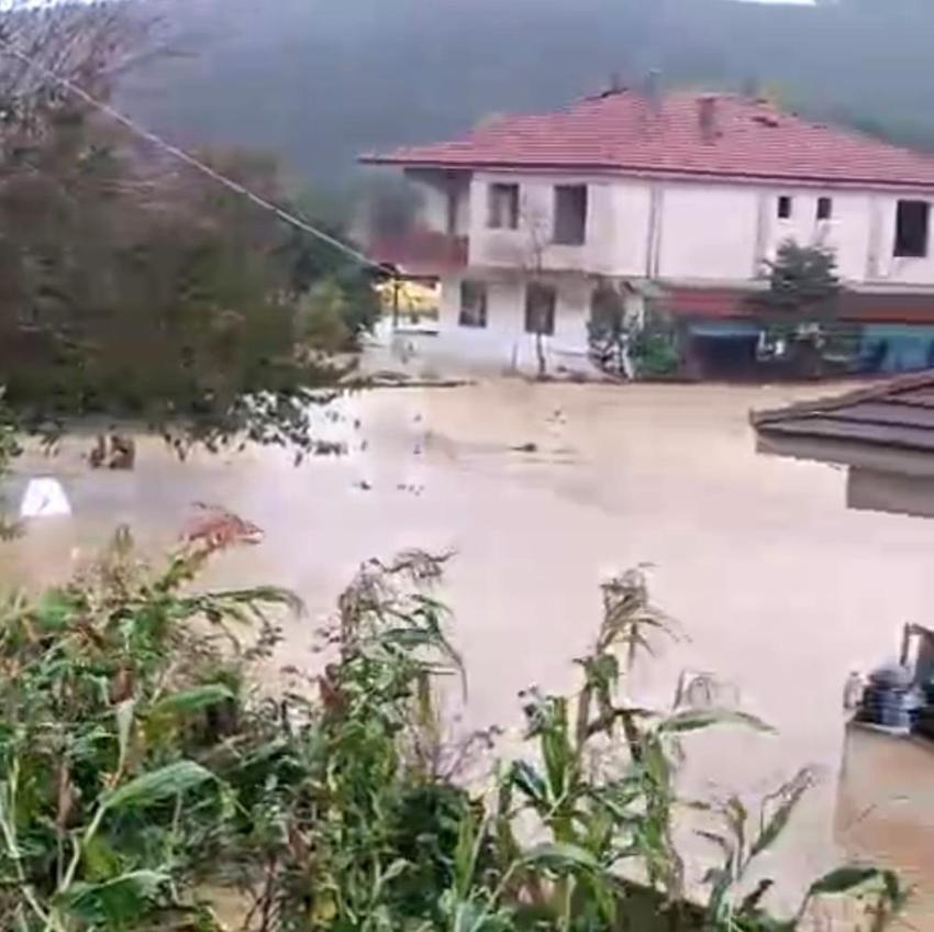 Sakarya'da yükselen sel suları kümesleri doldurdu: 60 bin hayvan telef oldu