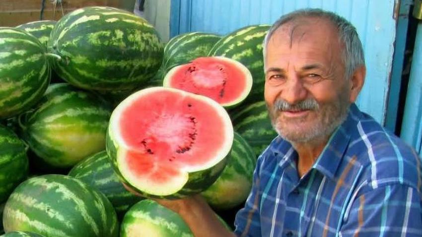 Gaziantep’te 5 bin dönümde yetişiyor! Yurt dışından bile talep yağıyor