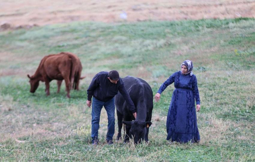 Van'da Türkiye'ye model olabilecek örnek! Kadınlar devlet desteğiyle üretime güç katıyor