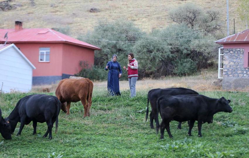 Van'da Türkiye'ye model olabilecek örnek! Kadınlar devlet desteğiyle üretime güç katıyor