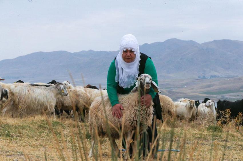 Van'da Türkiye'ye model olabilecek örnek! Kadınlar devlet desteğiyle üretime güç katıyor