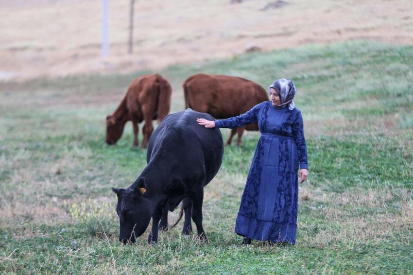 Van'da Türkiye'ye model olabilecek örnek! Kadınlar devlet desteğiyle üretime güç katıyor
