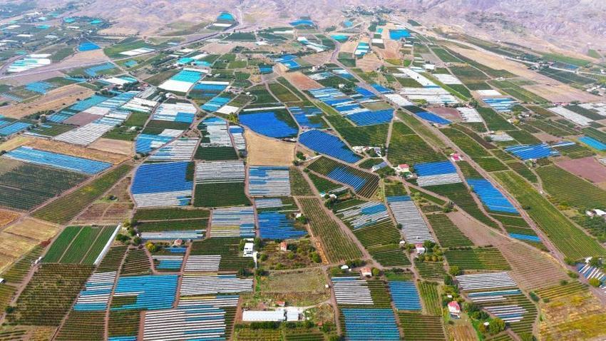 Elazığ'da erken yağışlar bastırdı, bağlar açık hava müzesine dönüştü! 80 bin tonluk rekolte için bağlar maviye boyandı!