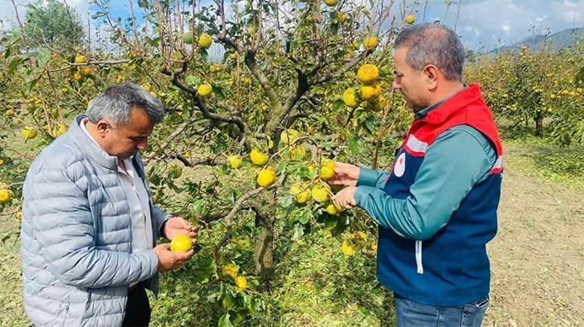 Adana'da narenciye ve tarım bahçelerini dolu vurdu! Hasar için ön tespit çalışması başladı