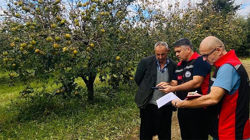 Adana'da narenciye ve tarım bahçelerini dolu vurdu! Hasar için ön tespit çalışması başladı
