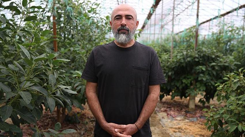 Alanya'dan toplanıyor, 72 saatte Avrupa'daki market raflarında yer alıyor! Yıllar önce bahçede hobi olarak başlamıştı