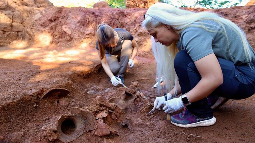 Ordu'da keşfedildi, Karadeniz'in kaderini değiştirecek! Profesör gizli hazineyi buldu