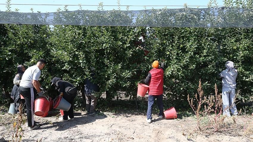 Şehri terk edip 0 faizli krediyle üretim deposu kurdu! Kayseri'den 18 ülkeye tonlarca gönderiyor