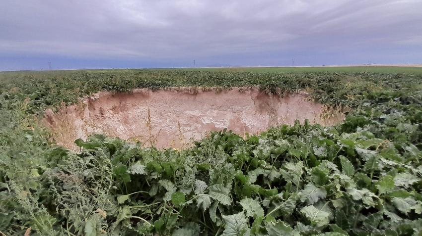 Her gün yeni kabusa uyanıyor! Konya'da köylere sıçradı, 'yasaklanmalı' deyip açıkladı