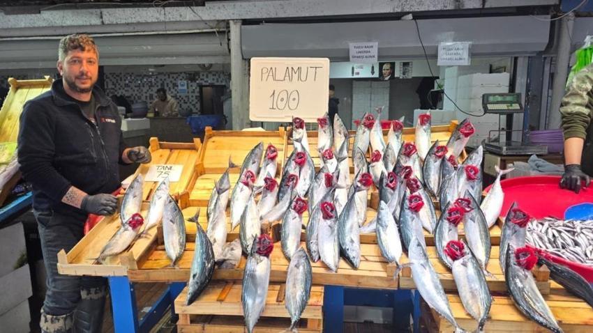 Bandırma balık hali’nde dev palamut akını: 1 kilosu 100 liraya düştü, tezgâhlarda kuyruklar oluştu!