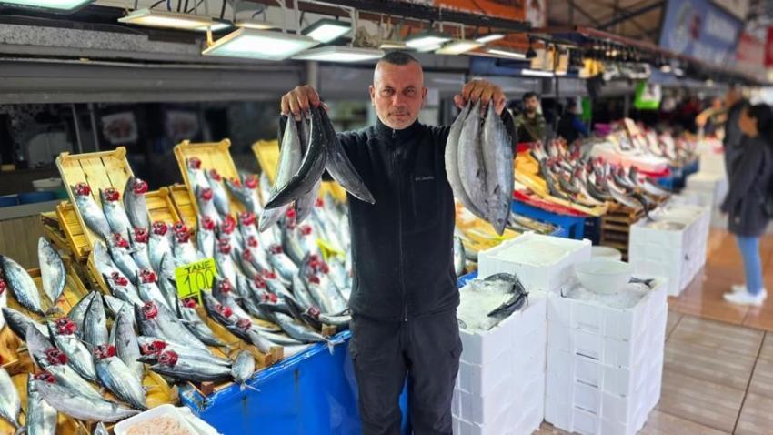 Bandırma balık hali’nde dev palamut akını: 1 kilosu 100 liraya düştü, tezgâhlarda kuyruklar oluştu!