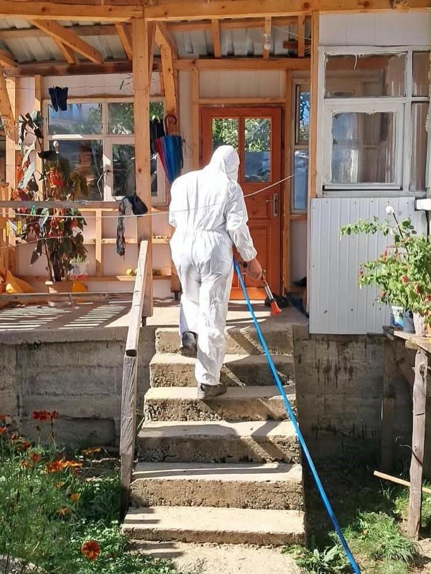Fındık üreticilerine kahverengi kokarca alarmı! Düzce'de kışlak ilaçlama seferberliği başladı