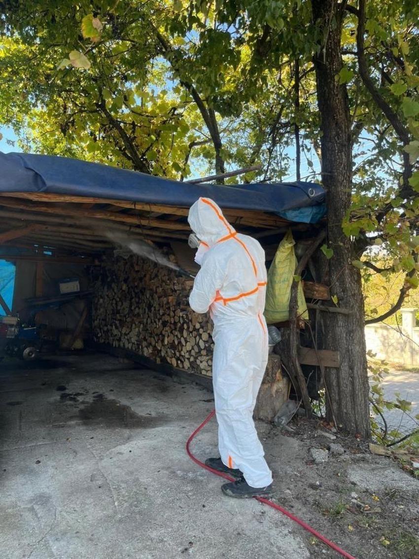 Fındık üreticilerine kahverengi kokarca alarmı! Düzce'de kışlak ilaçlama seferberliği başladı