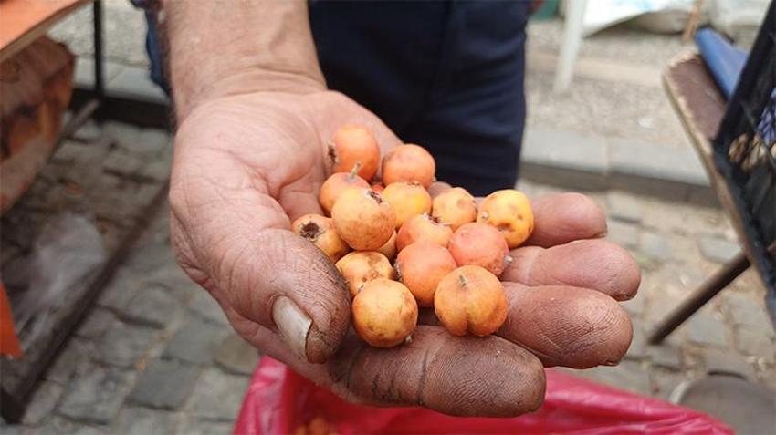 Dağlarda kendiliğinden yetişiyor, bedava toplatıp satıyorlar! Kilosu 150 TL'den kapış kapış gidiyor