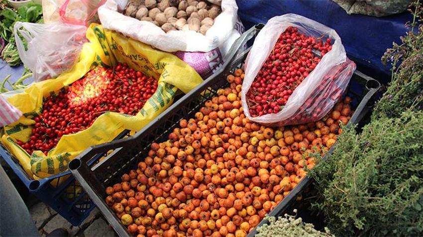 Dağlarda kendiliğinden yetişiyor, bedava toplatıp satıyorlar! Kilosu 150 TL'den kapış kapış gidiyor