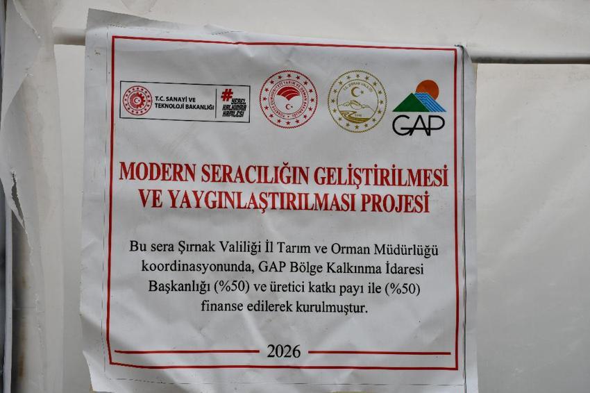 Devletin verdiği yüzde 50 hibe ile kurdukları seralar gelir kaynakları oldu! Bakanlığı projesi Şırnaklı üreticiye can suyu oldu