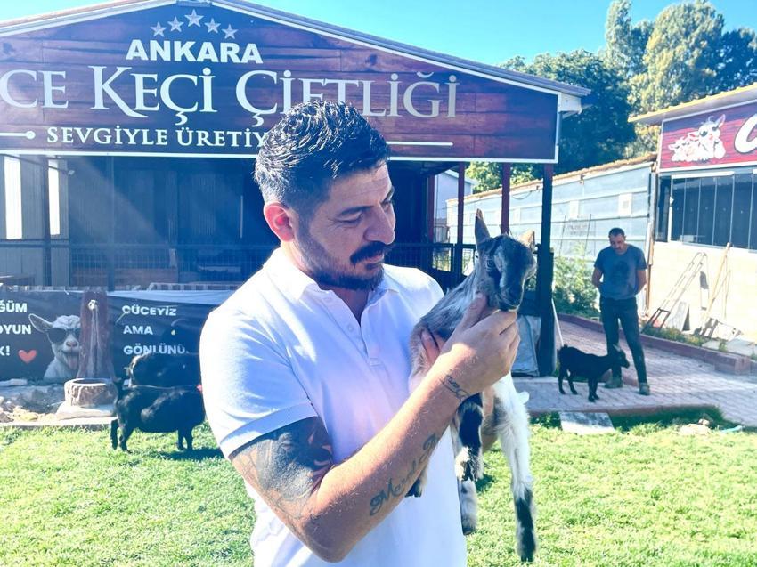 Hobi olarak başlandı sürüde sayı 90'a ulaştı! Türkiye'de cüce keçi için talep artıyor
