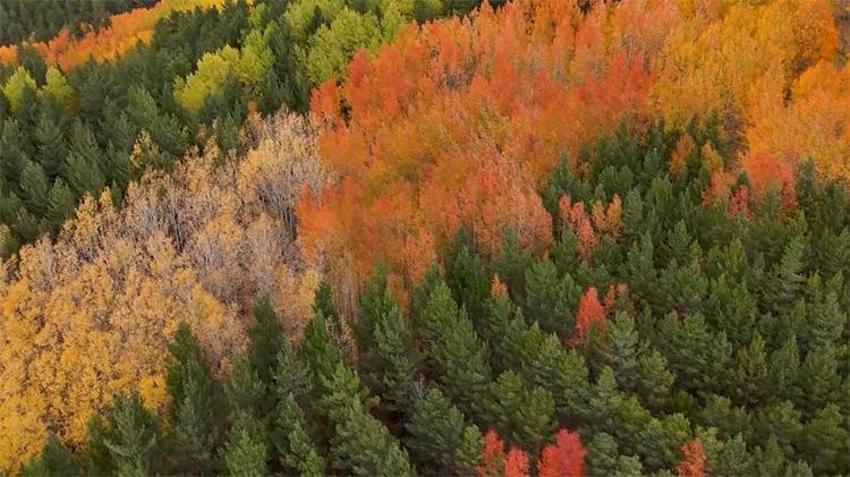 Fotoğraf Tutkunları bu bölgeye akın ediyor: Munzur’da eşsiz sonbahar manzaraları