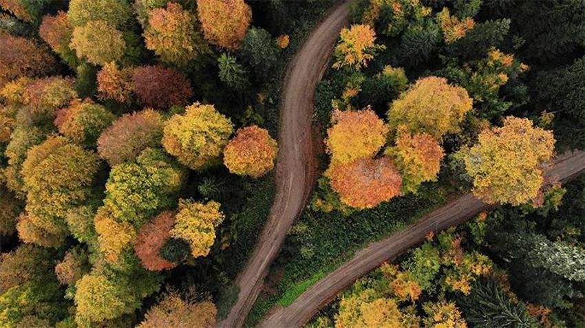Fotoğraf Tutkunları bu bölgeye akın ediyor: Munzur’da eşsiz sonbahar manzaraları