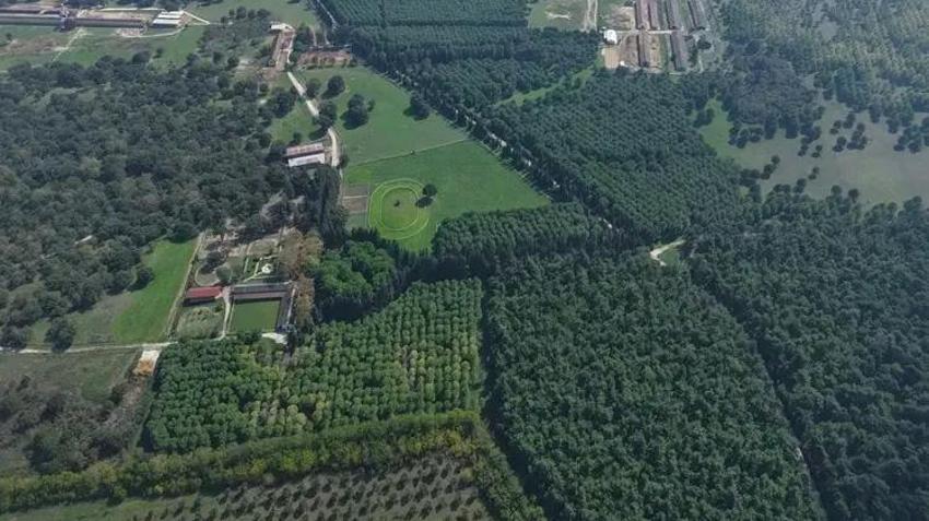 7 ASIRDIR AYNI YERDE YETİŞTİRİLİYOR! Bursa'dan çıktı, 12 milyon liraya satıldı