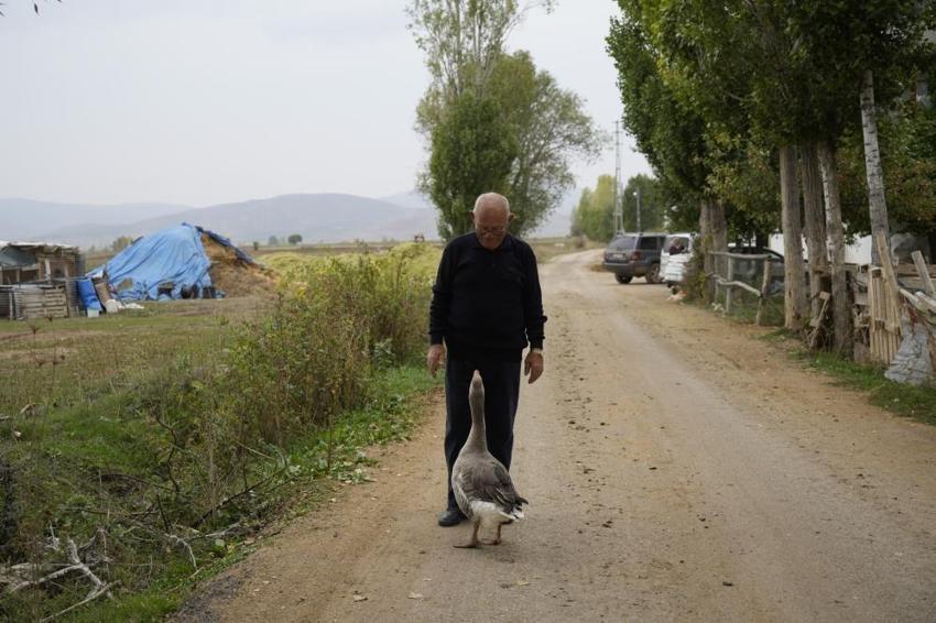 Sürüsü onu dışladı, o kendisine yeni bir aile buldu! Gümüşhane'de sıra dışı dostluk
