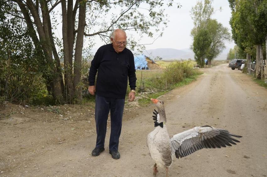 Sürüsü onu dışladı, o kendisine yeni bir aile buldu! Gümüşhane'de sıra dışı dostluk