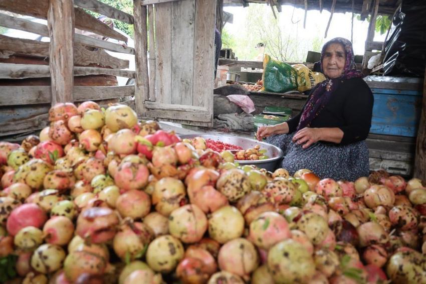 Adana'da 1,5 ton nardan sadece 60 kilo çıkıyor: Kilosu 750 TL'den satılıyor