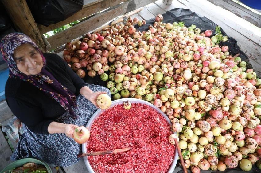 Adana'da 1,5 ton nardan sadece 60 kilo çıkıyor: Kilosu 750 TL'den satılıyor