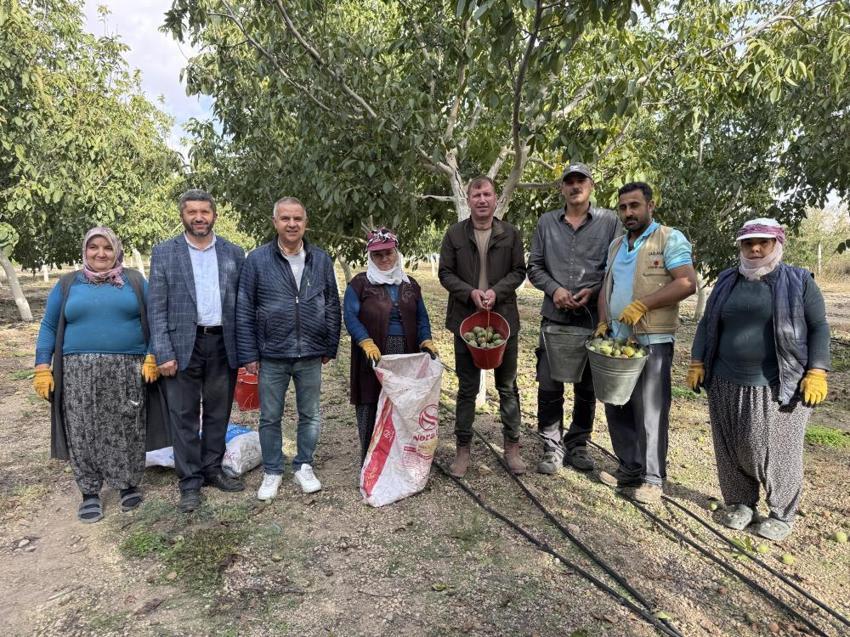 'Olmaz' denileni başardılar! Fabrikanın boş arazisine ekti, şimdi tonlarca rekolte bekliyor