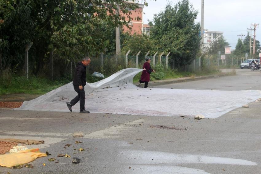 Yağmur fındığı vurdu: Üretici mahsulünü kurtarmak için sahile indi