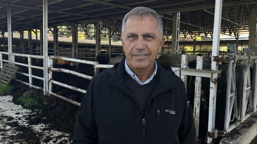 Bursa'da tıp ve hayvancılık tarihine geçecek başarı! Yerli sığır hem et üretecek hem ormanları koruyacak
