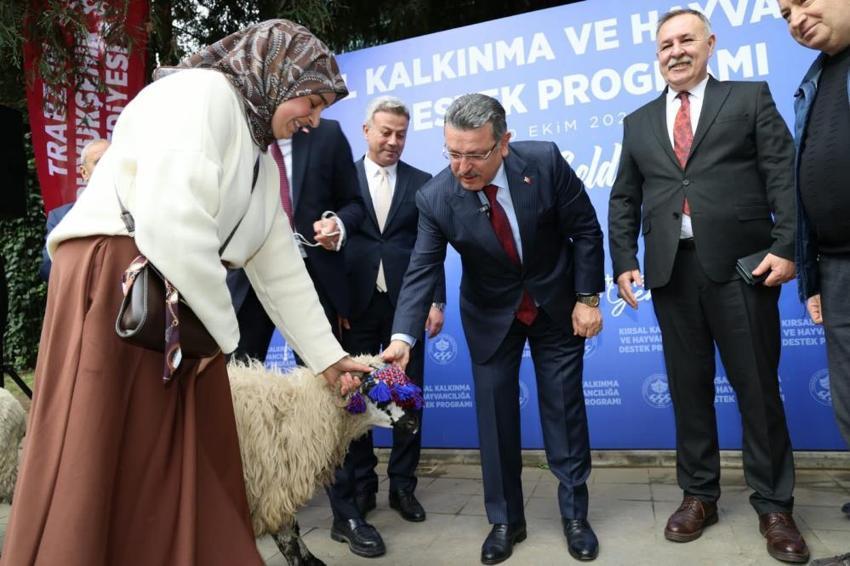Trabzon Maçka’da üreticiye dev yerel destek: %90 hibeyle 180 yerli koyun dağıtıldı!