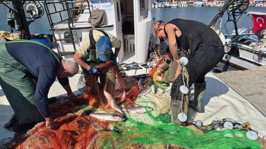 Tekirdağ'da ağlar dolup taştı! Tam 1,5 ton çıktı: Ağları çekerken zorlandılar