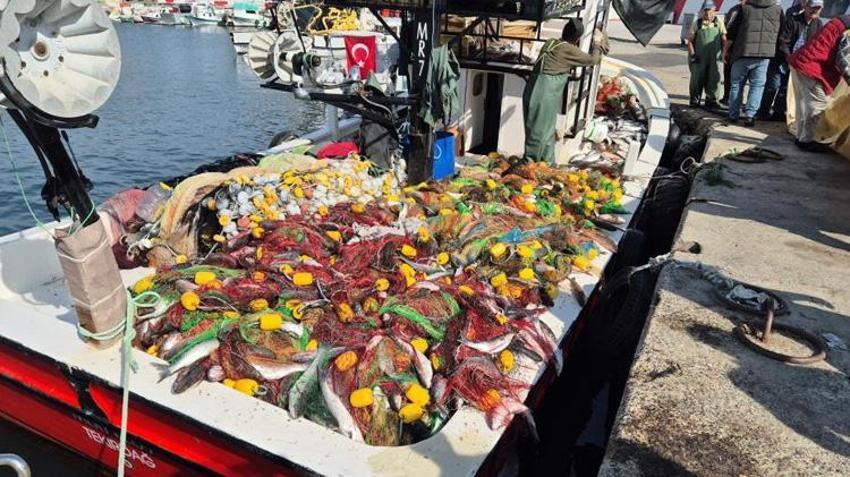 Tekirdağ'da ağlar dolup taştı! Tam 1,5 ton çıktı: Ağları çekerken zorlandılar