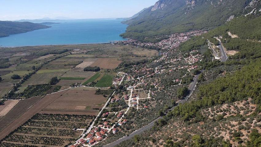 Muğla'da üreticiye alternatif gelir kapısı olan avokado üretimi yaygınlaşıyor