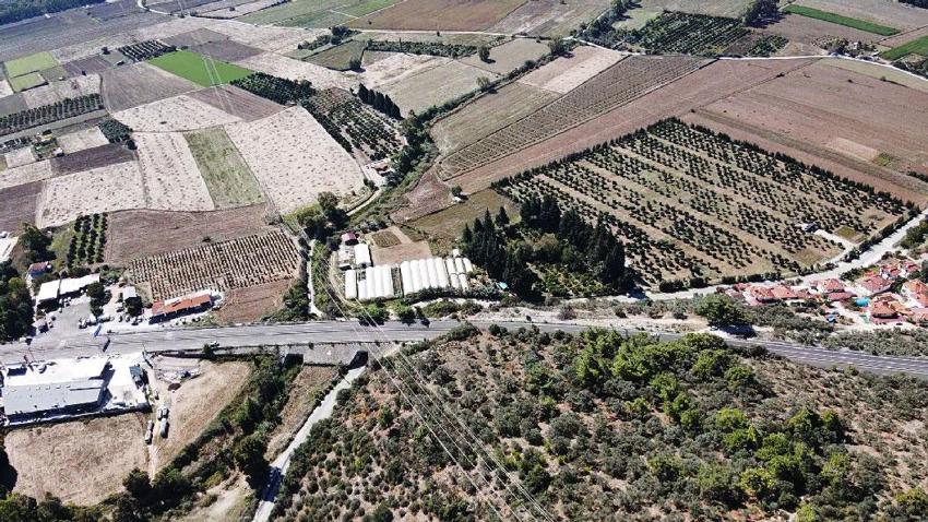 Muğla'da üreticiye alternatif gelir kapısı olan avokado üretimi yaygınlaşıyor