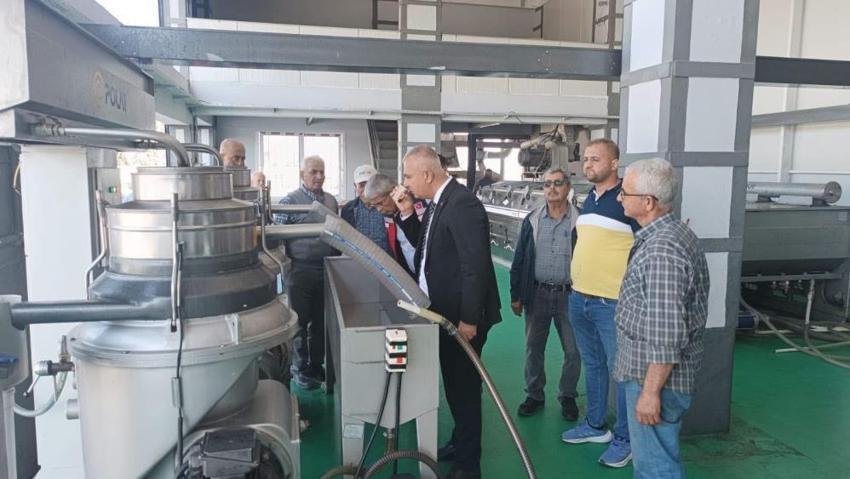 Hatay'da zeytin hasadı öncesi kritik uyarı: Asit seviyesinin yükselmemesi için bunları sakın yapmayın!