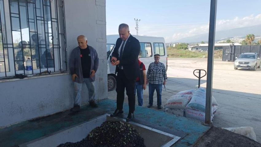 Hatay'da zeytin hasadı öncesi kritik uyarı: Asit seviyesinin yükselmemesi için bunları sakın yapmayın!