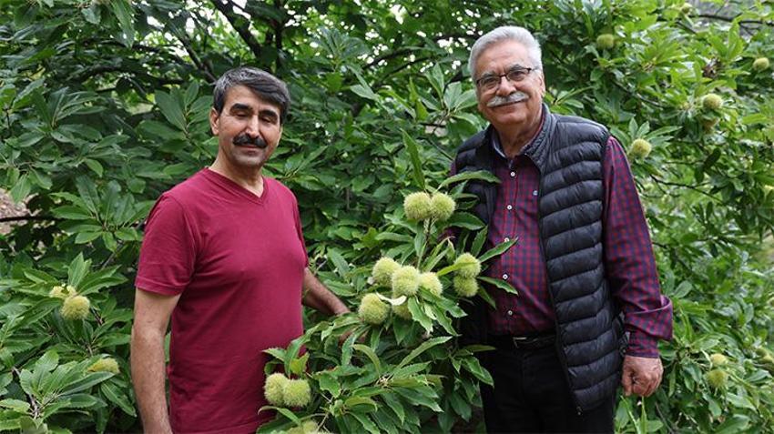 'Yapamazsın' denileni yaptı! Adana'da 18 yıllık deneme zaferle sonuçlandı, şimdi para basıyor