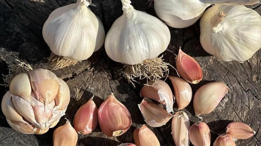Yıllardır üretiliyordu, resmen tescillendi! Çorum’un o meşhur lezzeti koruma altına alındı!