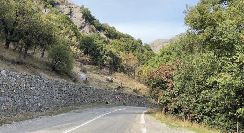 "Burada yetişmez" demişlerdi, bakımsız kalmasına rağmen dalları yıkılıyor: Gençlere ekmek kapısı olacak!