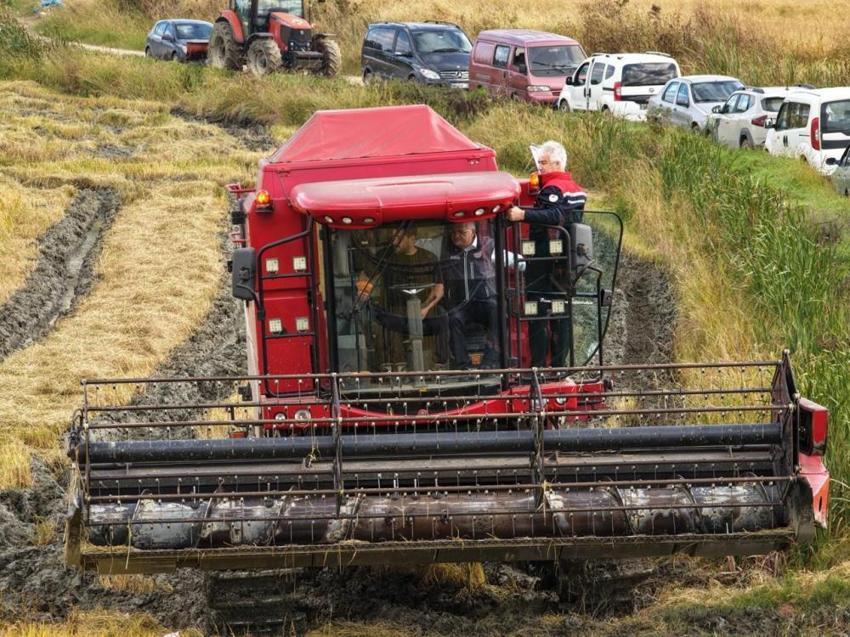 Çiftçinin yüzü güldü! Sinop'ta altın yıl: TMO fiyatı açıkladı, kilosu 45 TL'ye ulaştı!