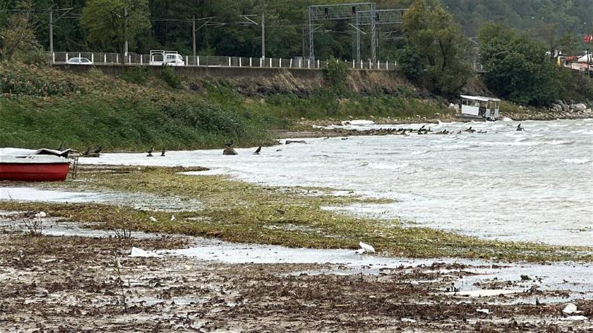 Sapanca Gölü'nde bir tarafta afet, bir tarafta bereket! Kuraklığı ardından son iki yılın en yüksek su seviyesi