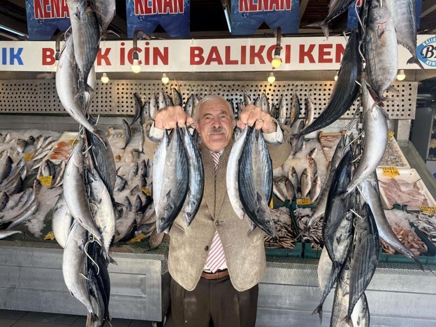 'Eskiden 1 tane alan şimdi 10 tane alıyor': Palamut fiyatı dibe indi, tüketici çifte bayram yaşıyor!
