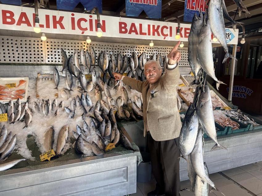 'Eskiden 1 tane alan şimdi 10 tane alıyor': Palamut fiyatı dibe indi, tüketici çifte bayram yaşıyor!
